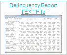 Delinquency Report Text File