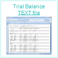 Trial Balance Report Example - Text